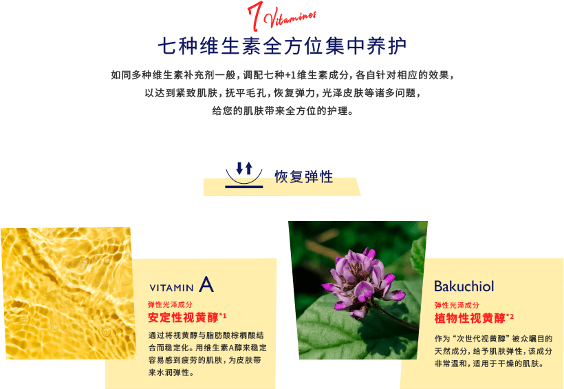 七种维生素全方位集中养护 如同多种维生素补充剂一般,调配七种+1维生素成分,各自针对相应的效果,以达到紧致肌肤,抚平毛孔,恢复弹力,光泽皮肤等诸多问题,给您的肌肤带来全方位的护理。