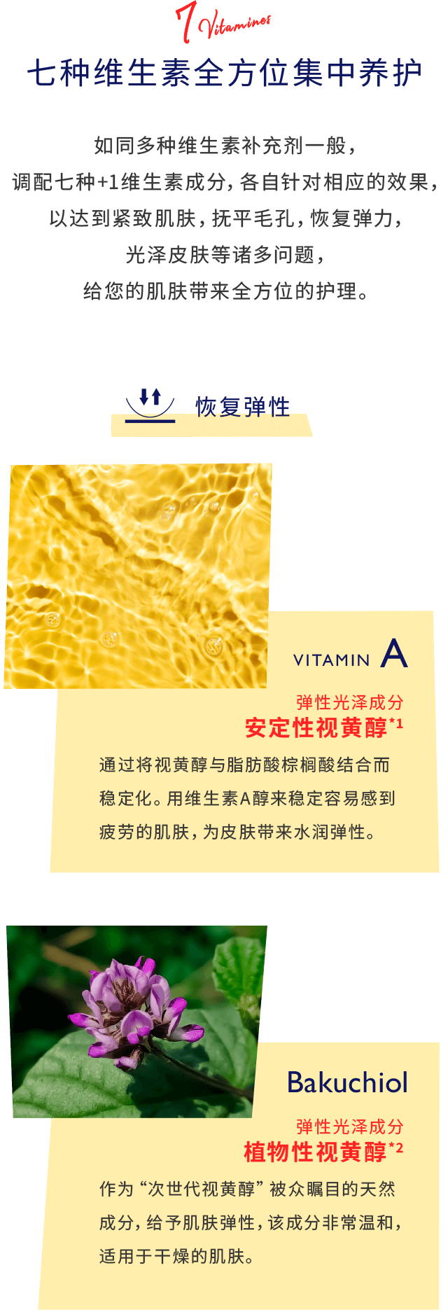 七种维生素全方位集中养护 如同多种维生素补充剂一般,调配七种+1维生素成分,各自针对相应的效果,以达到紧致肌肤,抚平毛孔,恢复弹力,光泽皮肤等诸多问题,给您的肌肤带来全方位的护理。