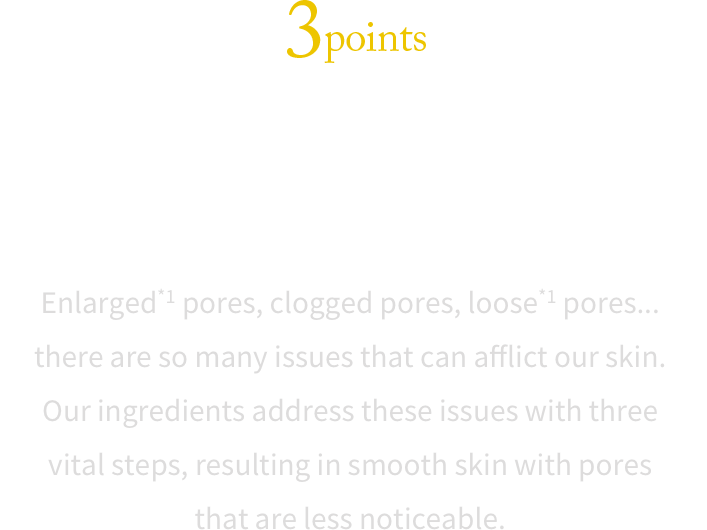 3points ３つのはたらきで美肌をサポート 開き※1に、黒ずみ、ゆるみ※1……毛穴の悩みもいろいろだから。フラーレンをはじめとするセラム成分による3つのはたらきで、皮脂バランスを整えて※2肌をひきしめ、毛穴が目立ちにくい素肌へ導きます。